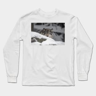 Eastern Gray Wolf Long Sleeve T-Shirt